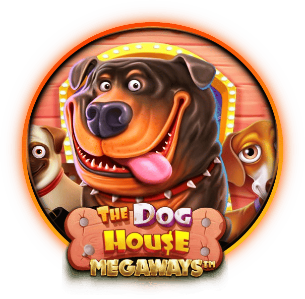 test-slot dog house